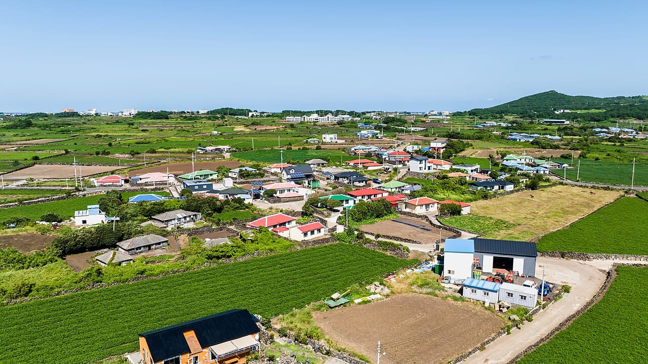 우도
