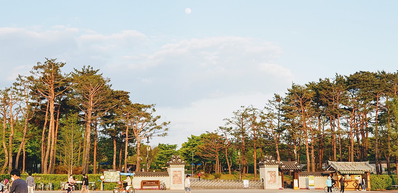 Hanbat Arboretum: The Green Lung of Daejeon